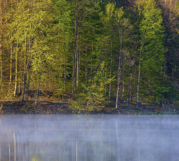 Matija Rođak - Virovitička jezera